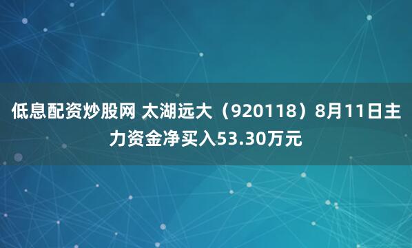 低息配资炒股网 太湖远大（920118）8月11日主力资金净买入53.30万元