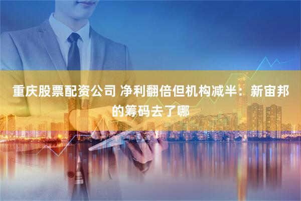 重庆股票配资公司 净利翻倍但机构减半:新宙邦的筹码去了哪