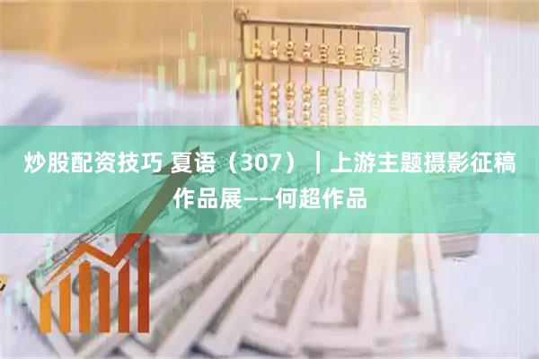 炒股配资技巧 夏语（307）｜上游主题摄影征稿作品展——何超作品